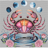 Constellation-XZ 190